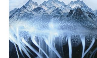 le montagne della follia copertina