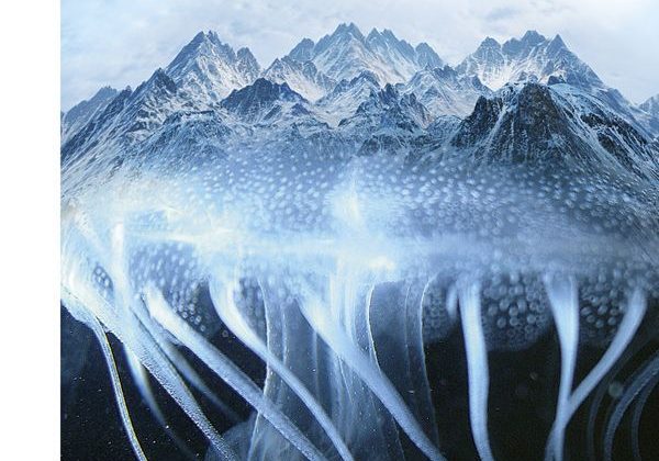 le montagne della follia copertina