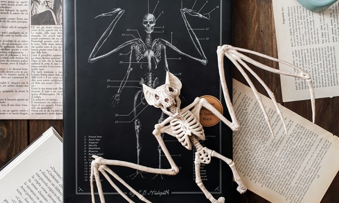 il codice delle creature estinte recensione
