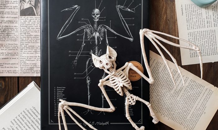 il codice delle creature estinte recensione