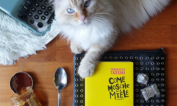 come mosche nel miele sonosololibri