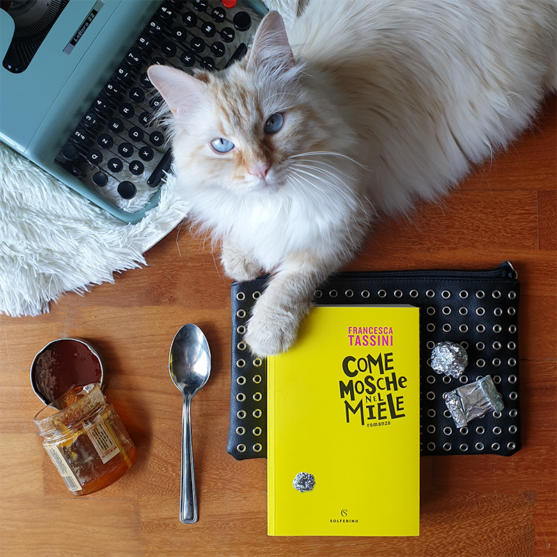 come mosche nel miele sonosololibri