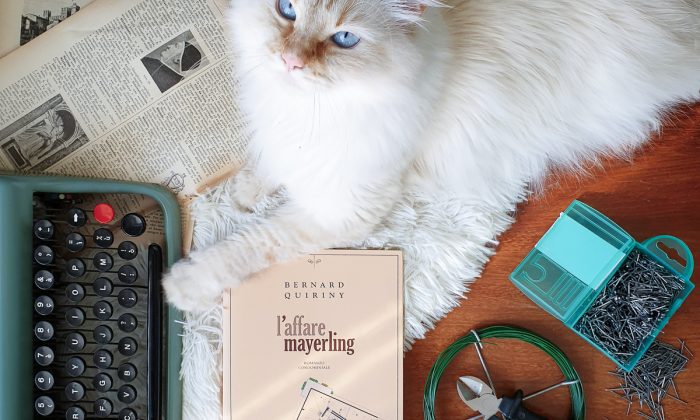 l'affare mayerling sonosololibri