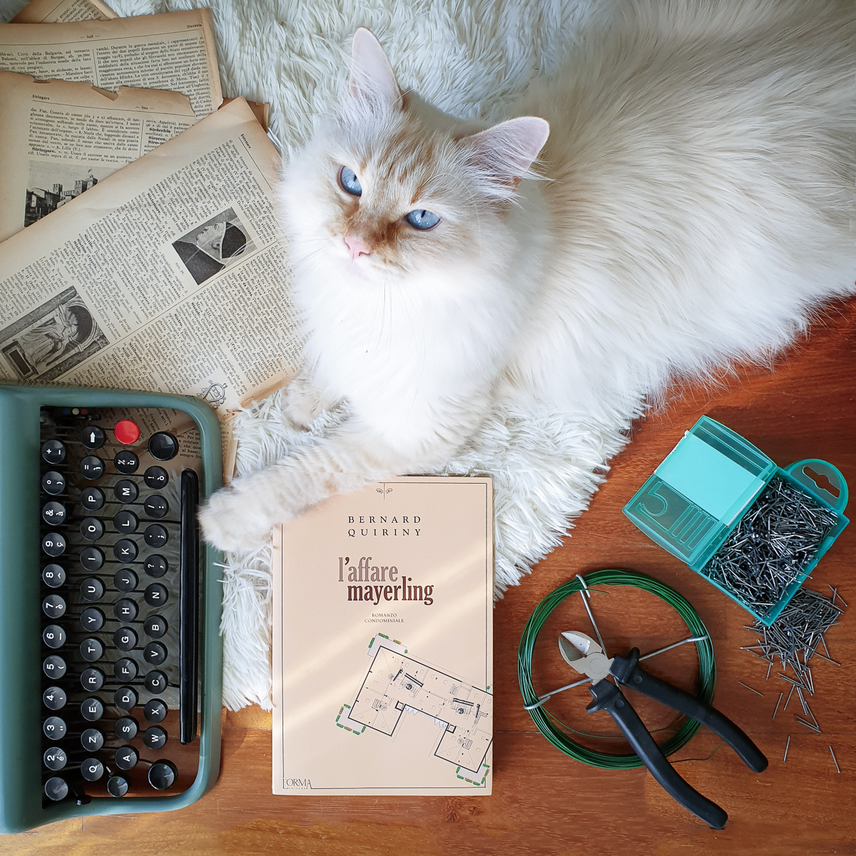 l'affare mayerling sonosololibri