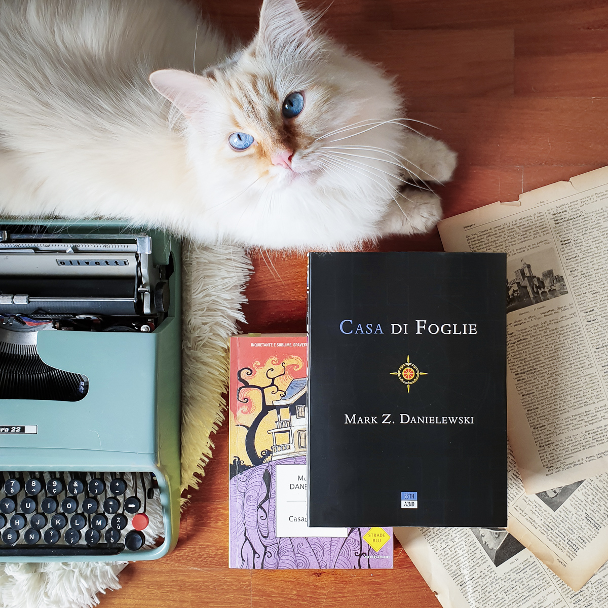 casa di foglie sonosololibri