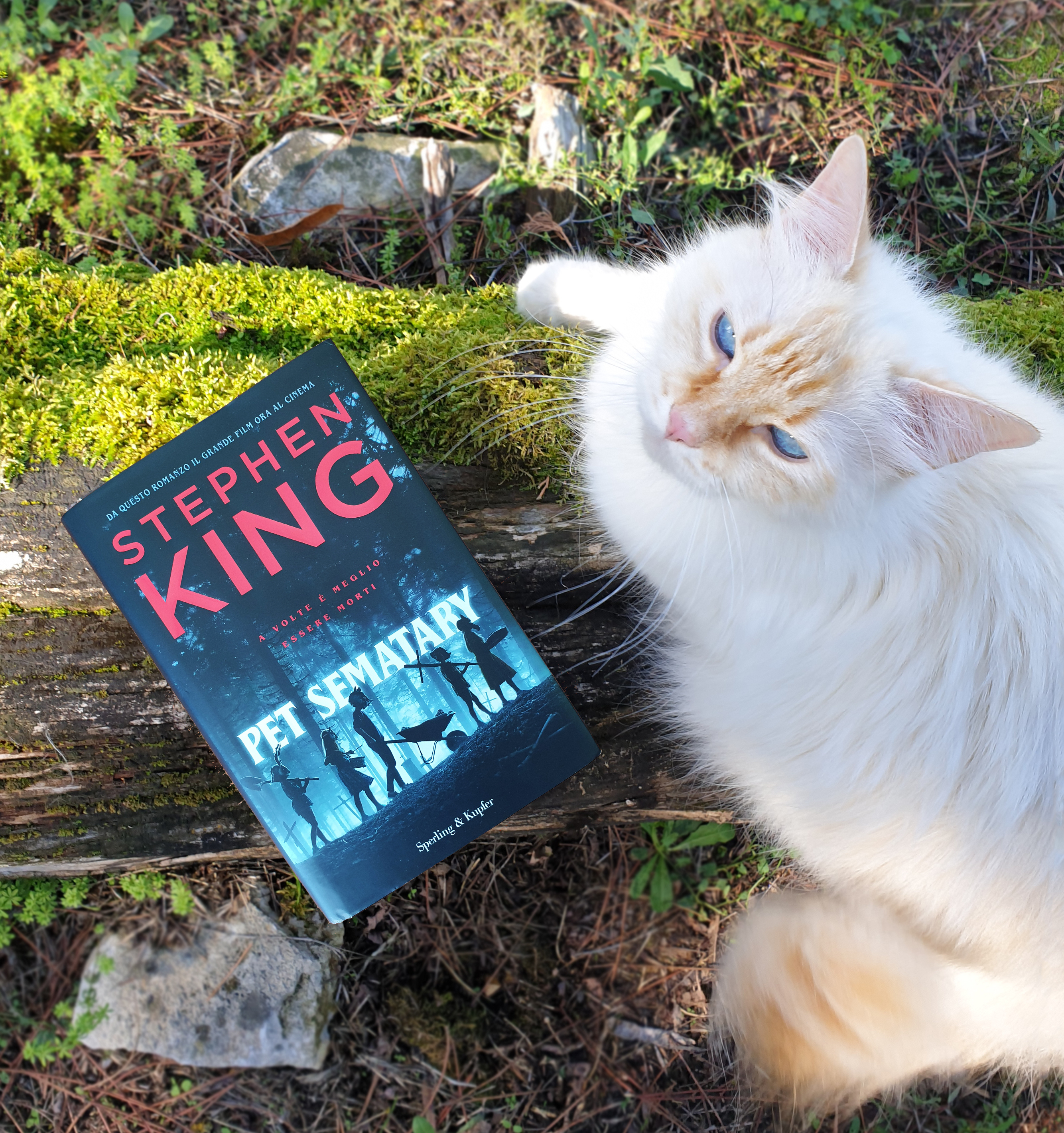 Pet Sematary recensione